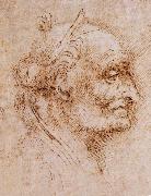 LEONARDO da Vinci, Aurelio Luini attributed, profile of an old man